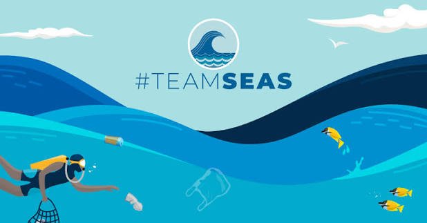 mr beasTeam Trees & Team Seast 